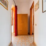 Degli Ulivi *